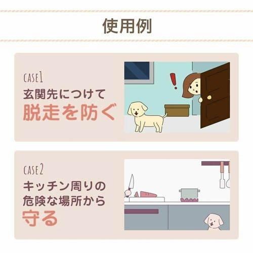 箱やぶれあり