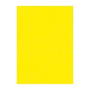 リンテック ニューカラーＲ 4 NCR-319 レモン