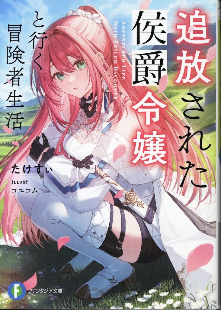 再販版　富士見ファンタジア文庫　新品未開封1box シュリンク付き Amazon.com: ドラグリミット・ファンタジア02 ウォール