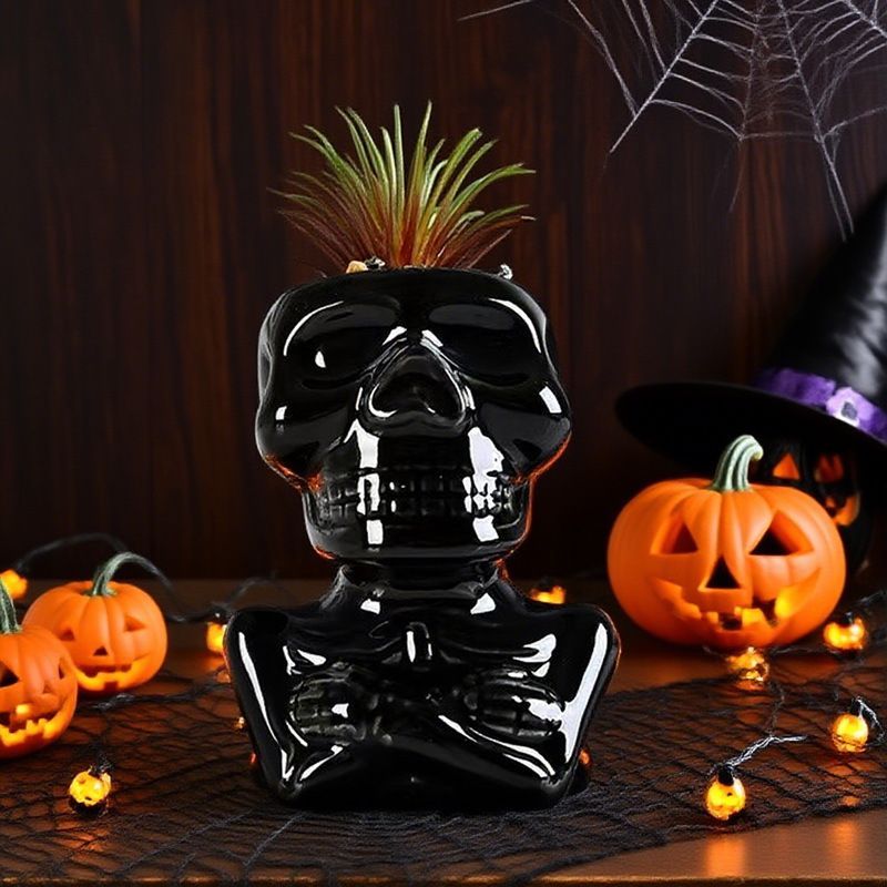 サボテン ユニーク