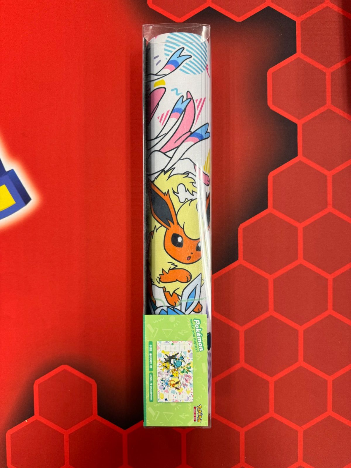 PIKACHU&EEVEE FRIENDS イーブイ ブイズ ピカチュウ 韓国 プレイ