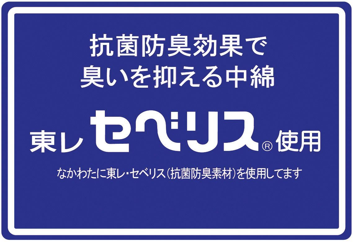 高感情の 日本製抗菌防臭わた使用 クリーン肌布団 大判サイズ 2枚セット