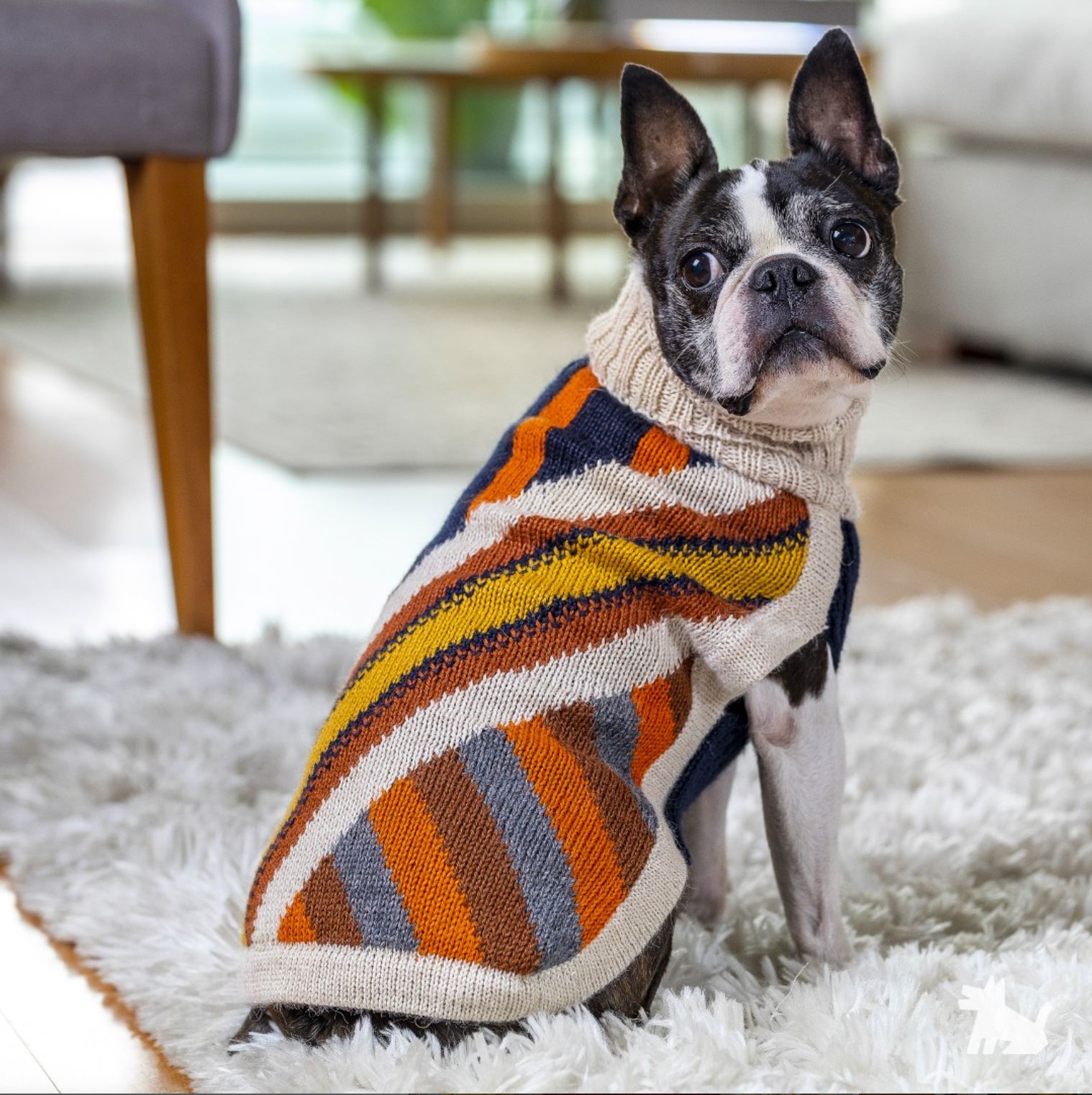 ALQO WASI ドッグセーター Zippa柄/Mサイズ - メルカリ