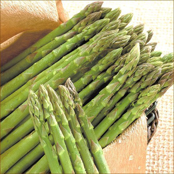 【出荷中】 北海道産 アスパラガス グリーンアスパラ (L-2Lサイズ/600g) 春の味覚 アスパラ グリーンアスパラ グリーンアスパラガス 野菜 ギフト 贈り物 お祝い プレゼント ご家庭用 北海道 グルメ お取り寄せ