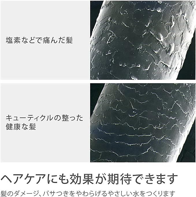 タカギ 塩素除去カプセル　Miz-e (1箱2コ入) JSC001 Takagi