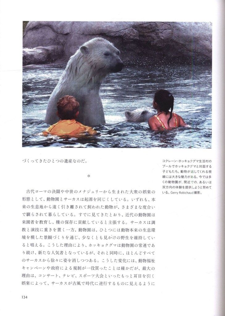 マイケル・エンゲルハード ホッキョクグマ 北極の象徴の文化史 定価