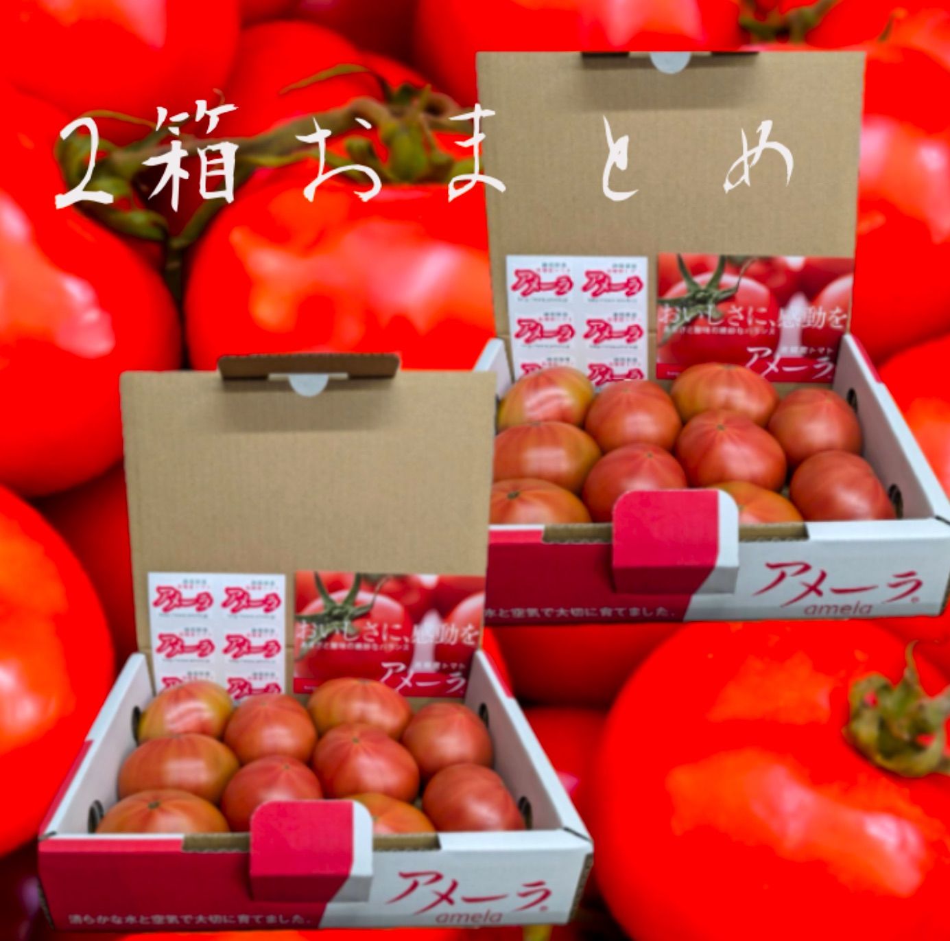 市場直送アメーラトマト2箱🍅高糖度 - メルカリ