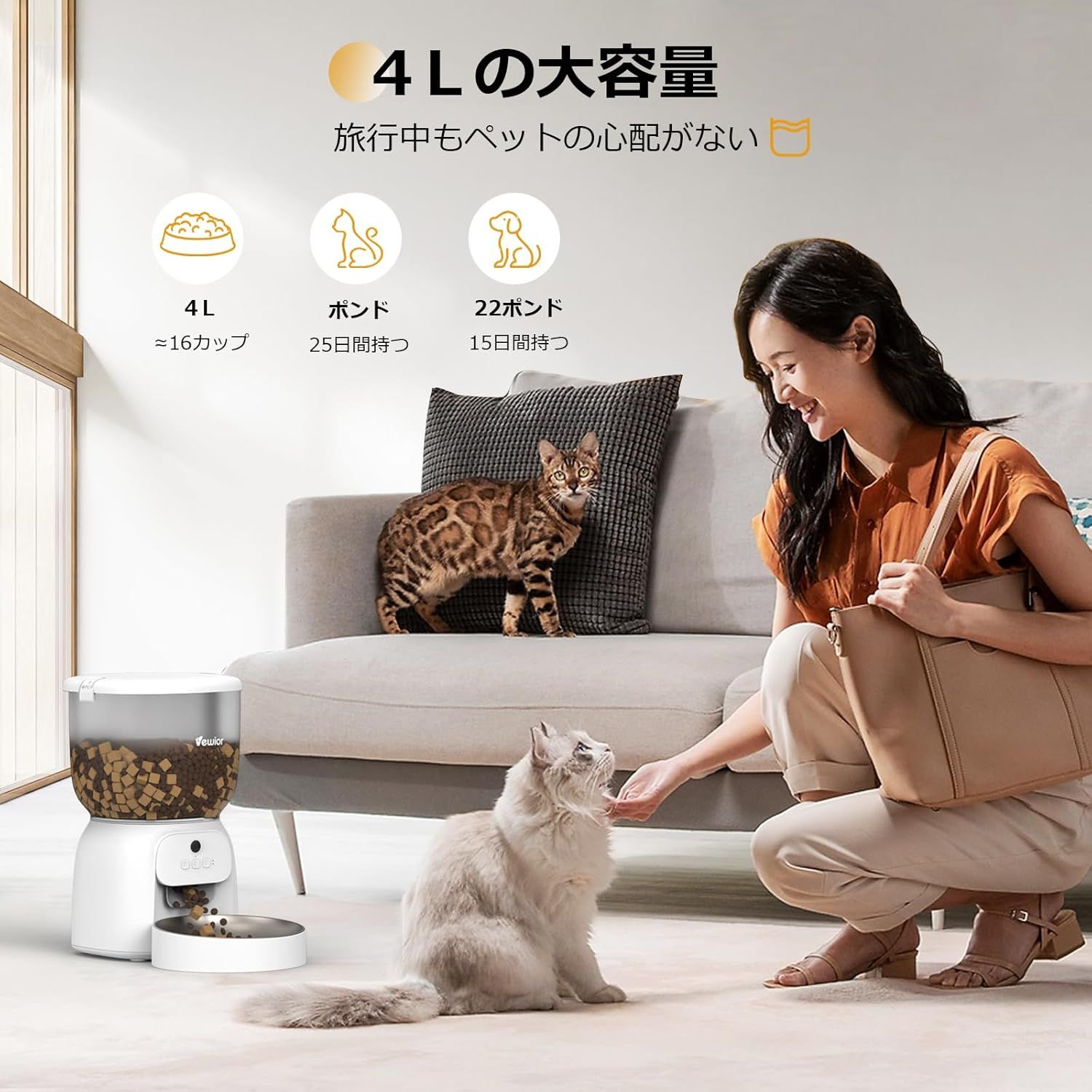 定時定量