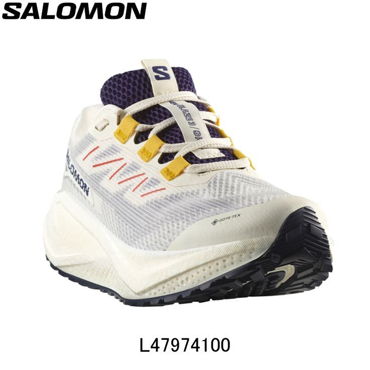 サロモン SALOMON AERO BLAZE 3 GRVL GORE-TEX エアロ ブレイズ 3 グラベル ゴアテックス ランニングシューズ 靴 ウィメンズ レディース 女性 l47974100 陸上 ランニング用品