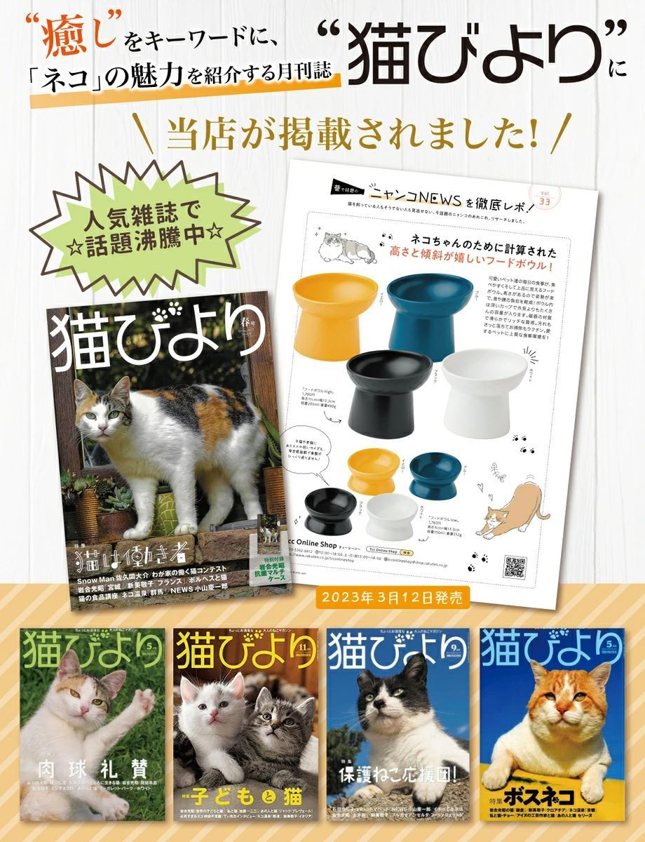 【通常品】 猫 食器 フードボウル 吐き戻し防止 犬 ペットボウル ペット食器 餌皿 エサ皿 水飲み 傾斜 斜め 負担軽減 食べやすい 水分補給 陶器 セラミック ペット用 猫用 犬用 ボウル 吐き戻し軽減 吐き戻し ねこ いぬ 送料無料