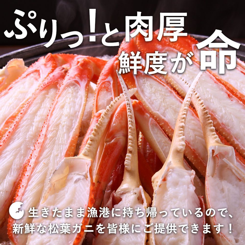 25年3月18日まで