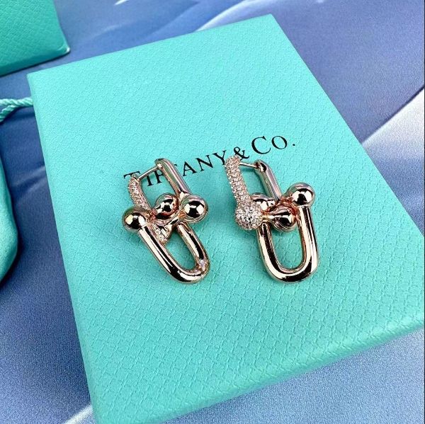 TIFFANY&Co. ティファニー ハードウェア ラージリンク ピアス 中古品 箱付き✨