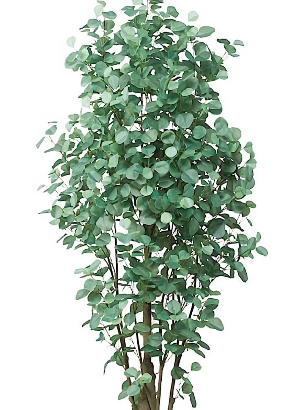 光触媒 人工観葉植物 ウォールグリーン フェイク フラワー 光触媒 人工観葉植物 ウォールグリーン フェイク フラワー
