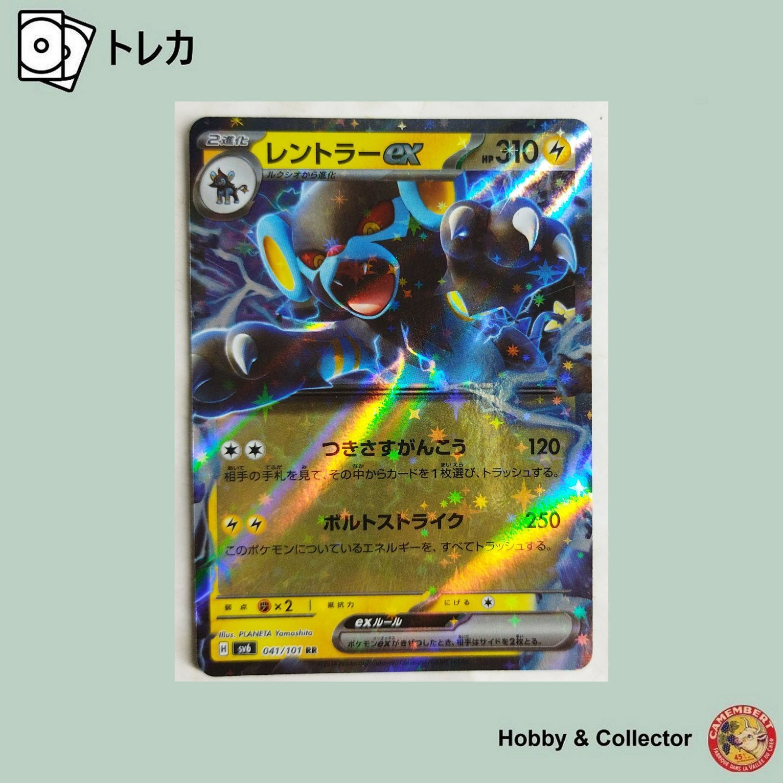 レントラー ポケモンカード pokemon レントラー | ポケモンカードゲーム公式ホームページ