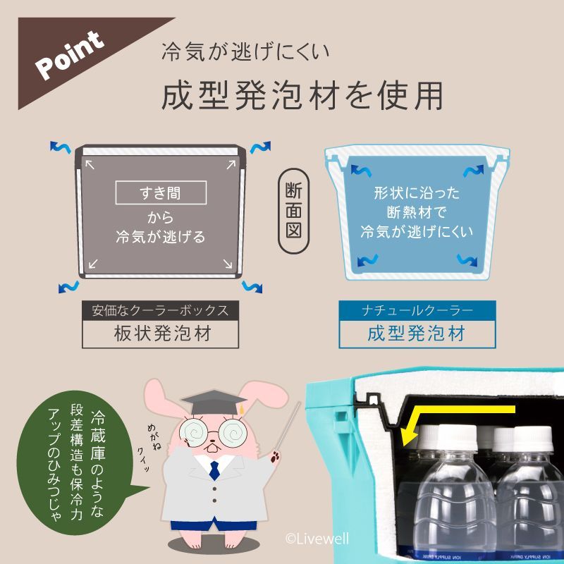 リブウェル(Livewell) 保冷 保温 クーラーボックス ナチュールクーラー