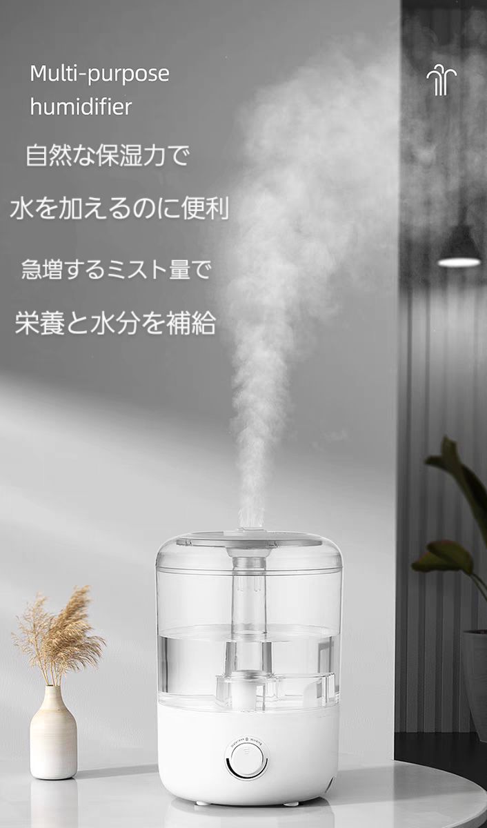 加湿器 美容