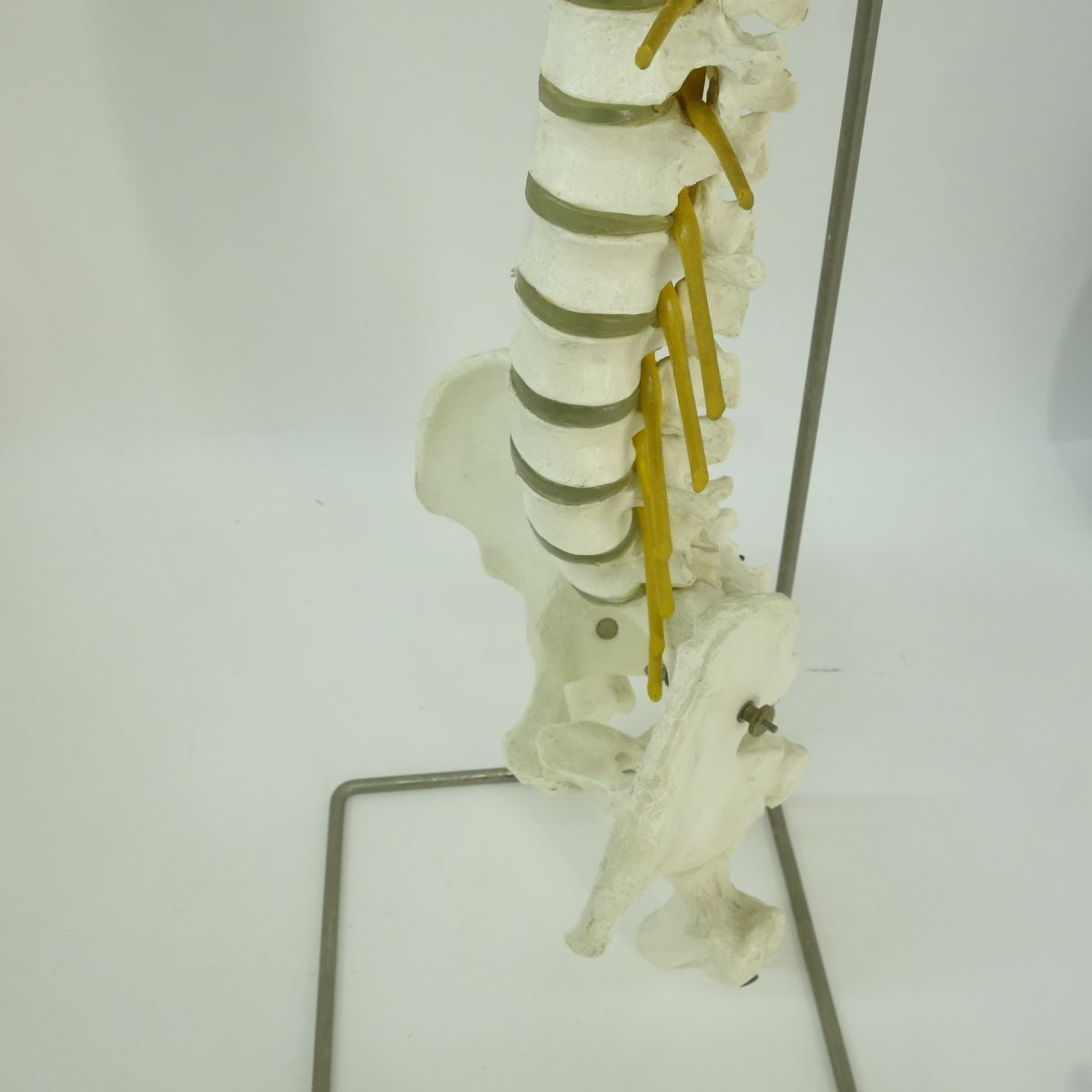 現状品