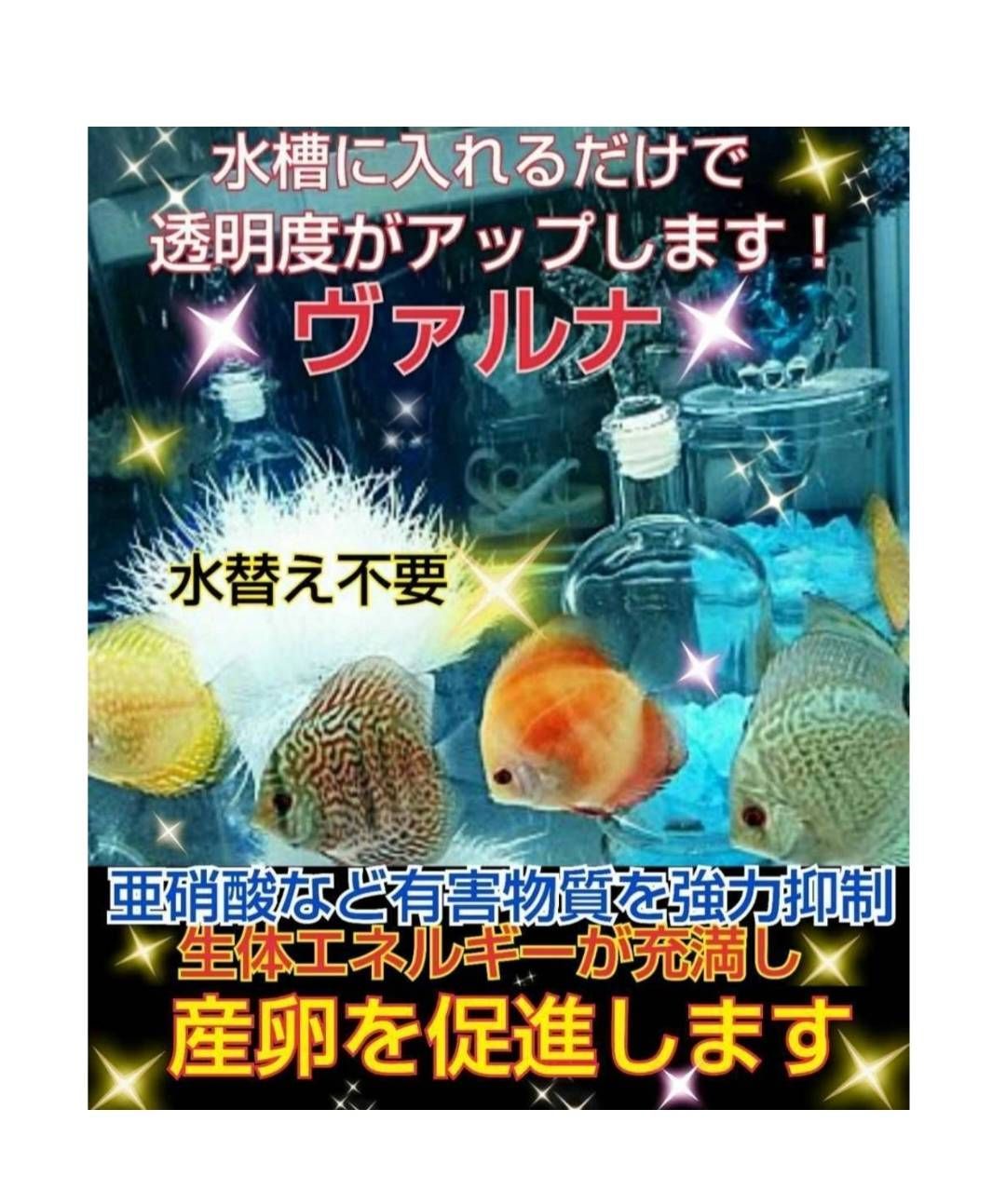 水槽の水が綺麗になります【ヴァルナミニ】有害物質を強力抑制し透明度が抜群に！ 水槽の水が綺麗になります病原菌や感染症など有害物質を