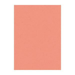 リンテック ニュー Ｒ 4 NCR 127 サーモン