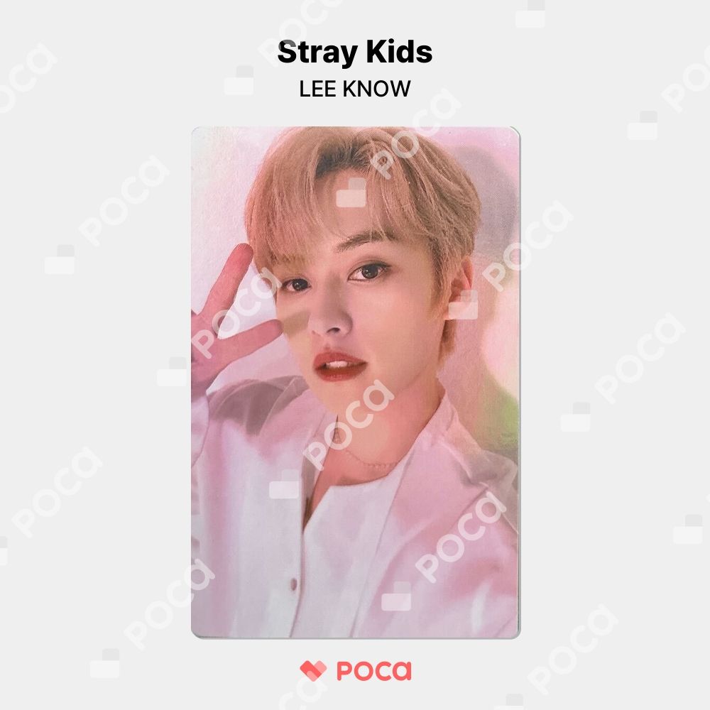straykids リノ スキズ トレカ NACIFIC 公式 トレカ - メルカリ