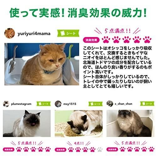 ヘアスタイル エステーペット 猫用 実感消臭 シート 20枚 システムトイレ 各社に使える 消臭力 共同開発 猫 トイレ トイレシート 消臭 そ 名高い