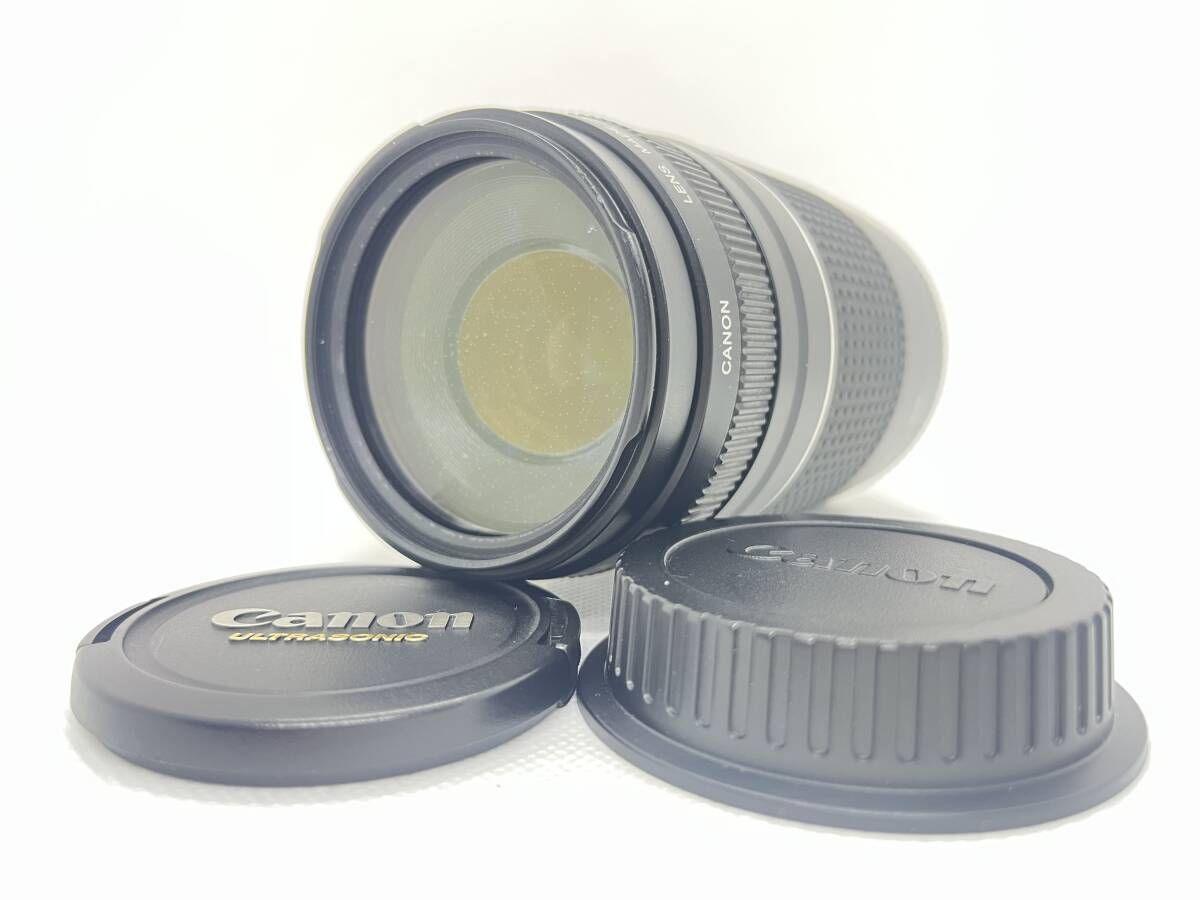 実用品 Canon キャノン EF 75-300mm F4-5.6 III USM
