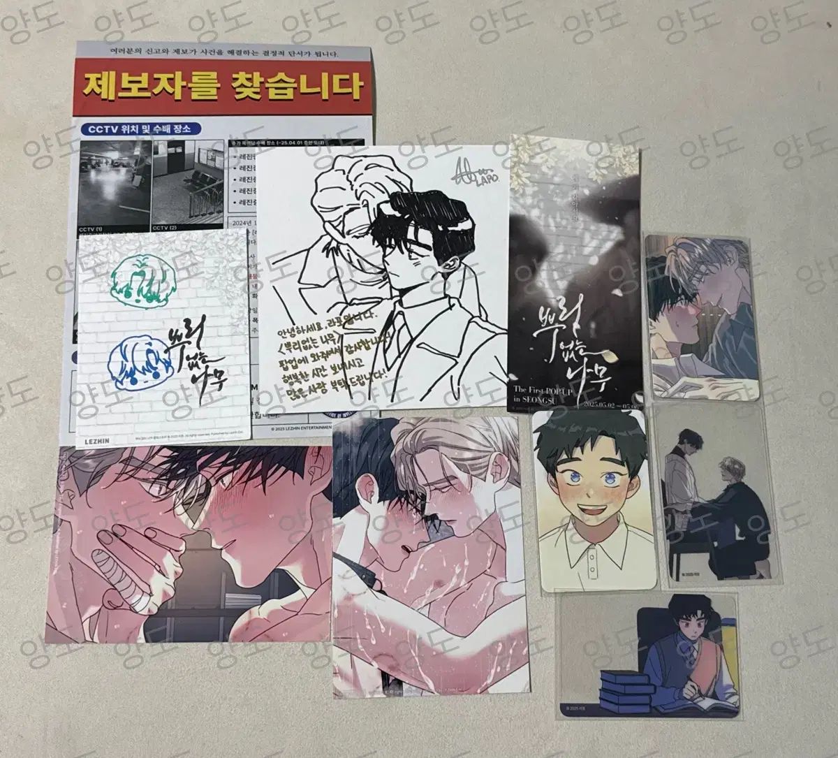 韓国BL 根無しの木 台北限定 フォトカード2枚セット 韓国BL台北