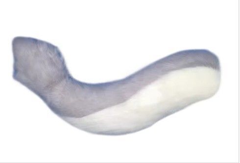 ファースーツ アクセサリー 尻尾 ライトグレー Dタイプ 飾りもの ケモノ しっぽ fursuit ぬいぐるみ コスプレ コスチューム ファースーツ アクセサリー 尻尾 ライトグレー Dタイプ 飾りもの