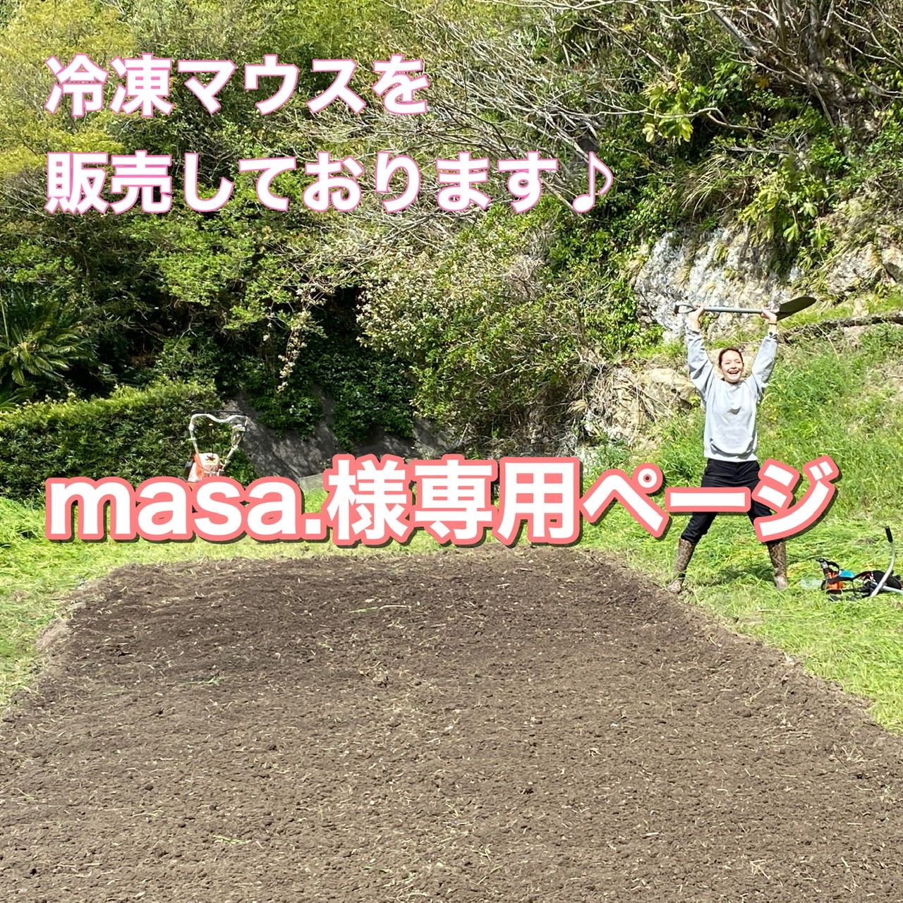 masa.様専用ページ 冷凍マウス | libbybellart.com