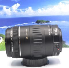 この一瞬を望遠で！Canon Zoom LENS EF90-300mm F4.5-5.6 USM 