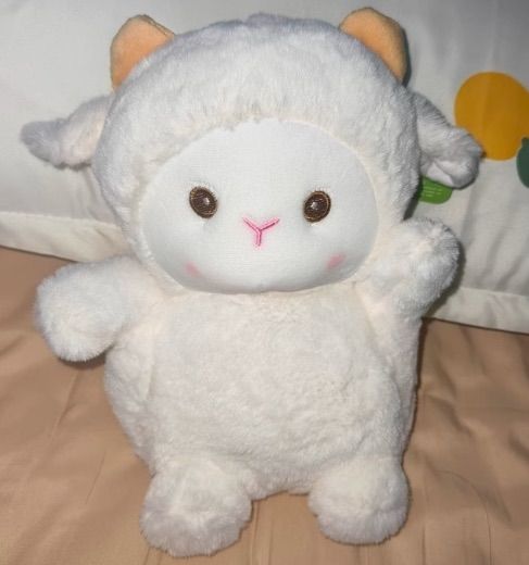 cravity ミニランモ ランモ ジョンモ ぬいぐるみ ミニドール トレカなし cravity ミニランモ ランモ ジョンモ ぬいぐるみ ミニドール