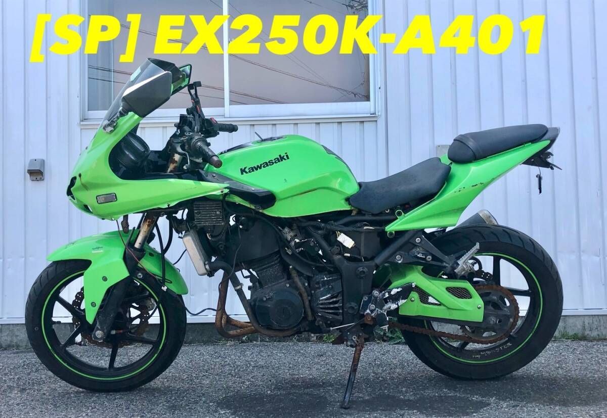 高品質，人気 【送料無料】[SP 53416]カワサキ ニンジャ250R EX250K