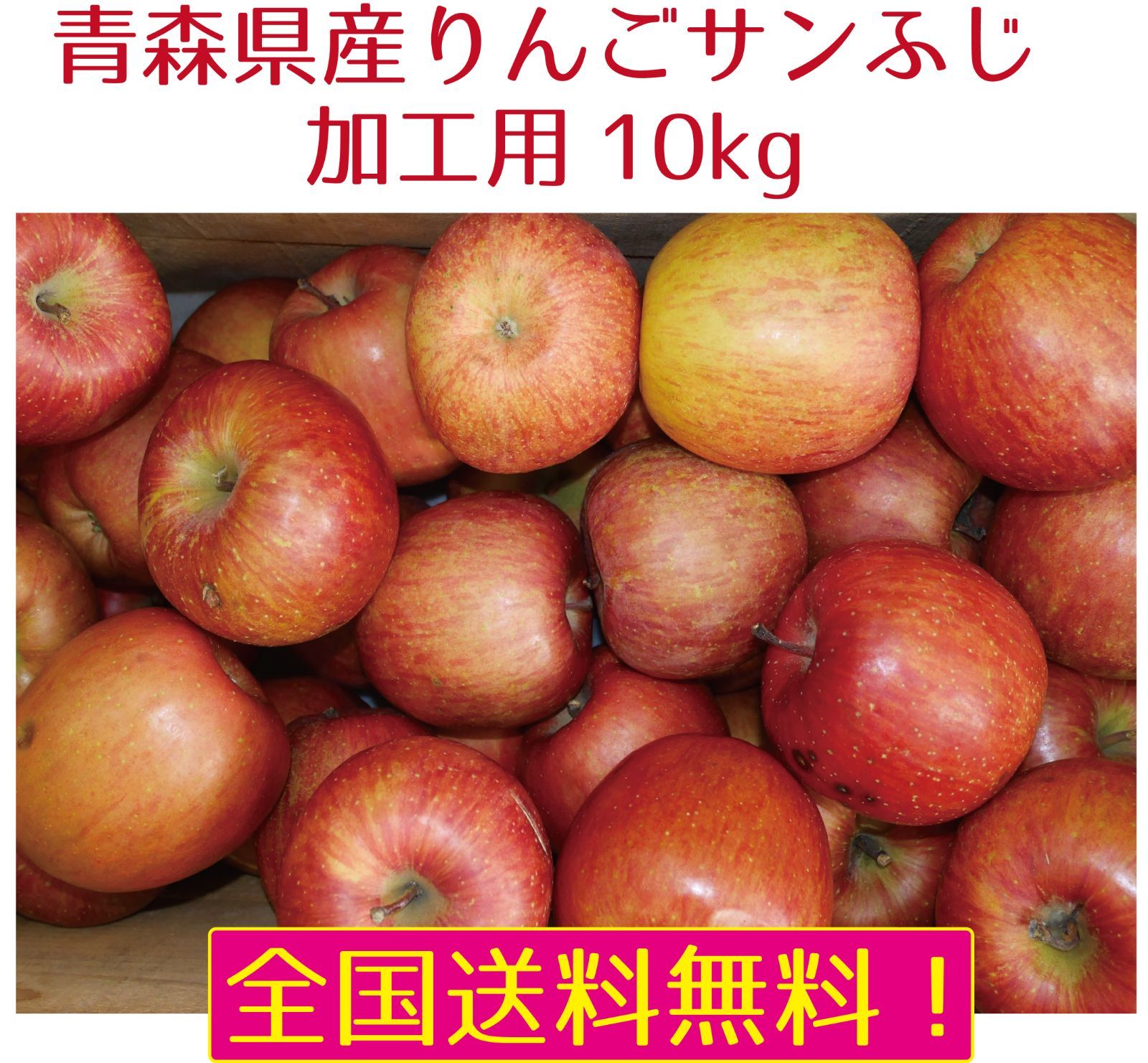 青森県産　りんご　サンふじ　　加工用　10ｋｇ　送料無料！-0