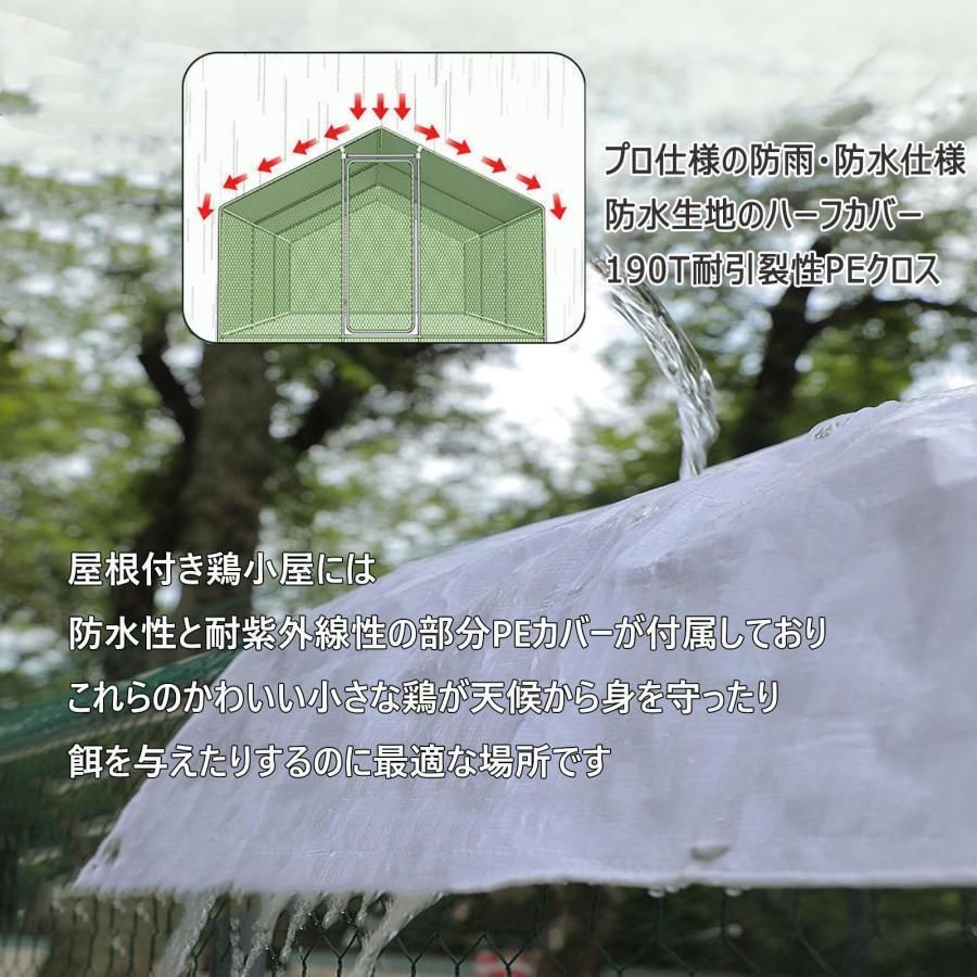 鳥 アヒル