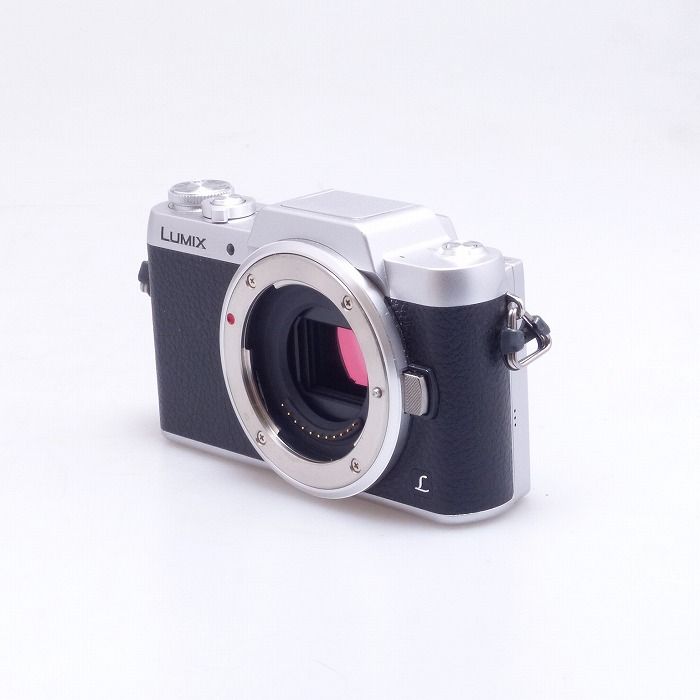Panasonic DMC-GF7