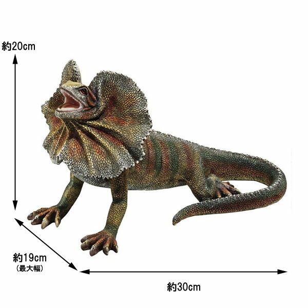 エリマキトカゲ オブジェ 全長30cm - メルカリ
