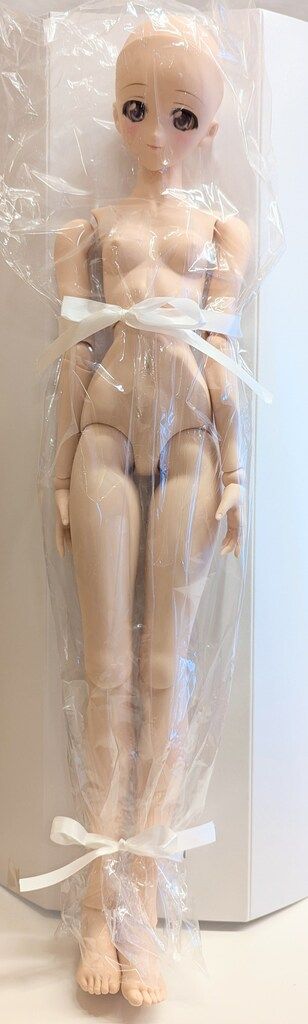 放課後秋葉原ガールズ モエ