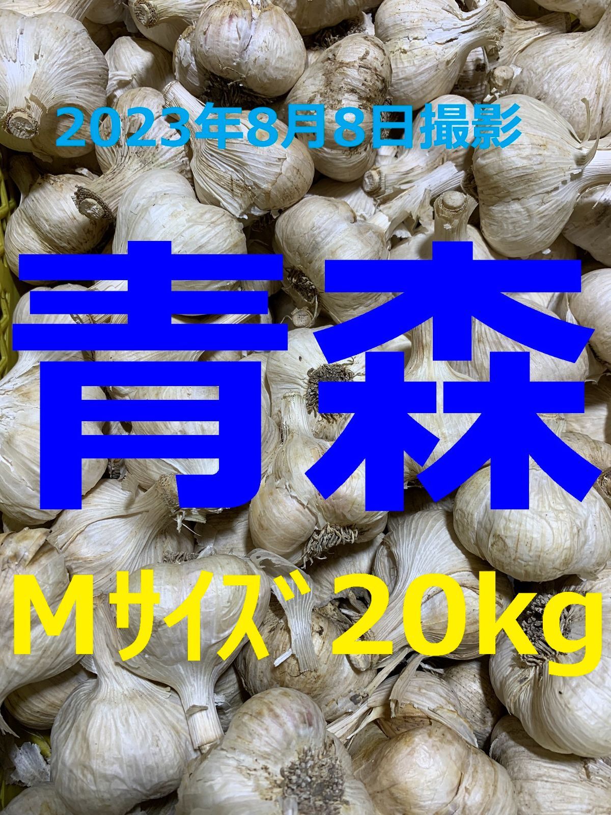 青森県産にんにく２０ｋｇ M ニンニク２０キロ 福地ホワイト６片種 訳