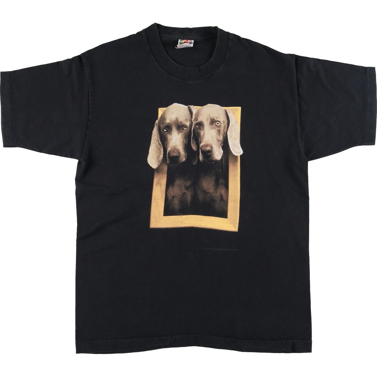 古着 90年代 フルーツオブザルーム FRUIT OF THE LOOM WILLIAM WEGMAN 