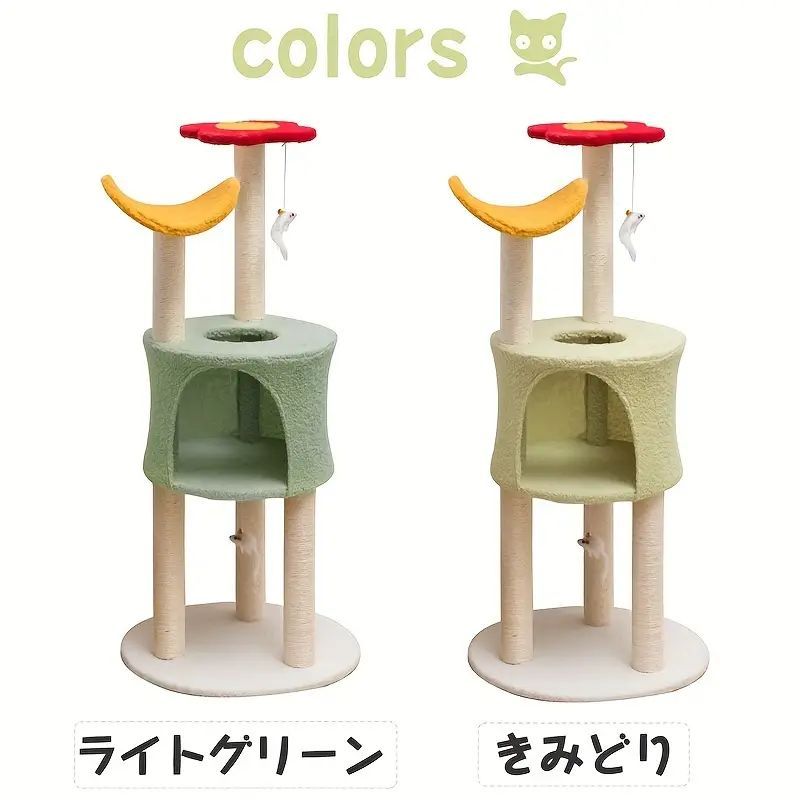 多頭飼い