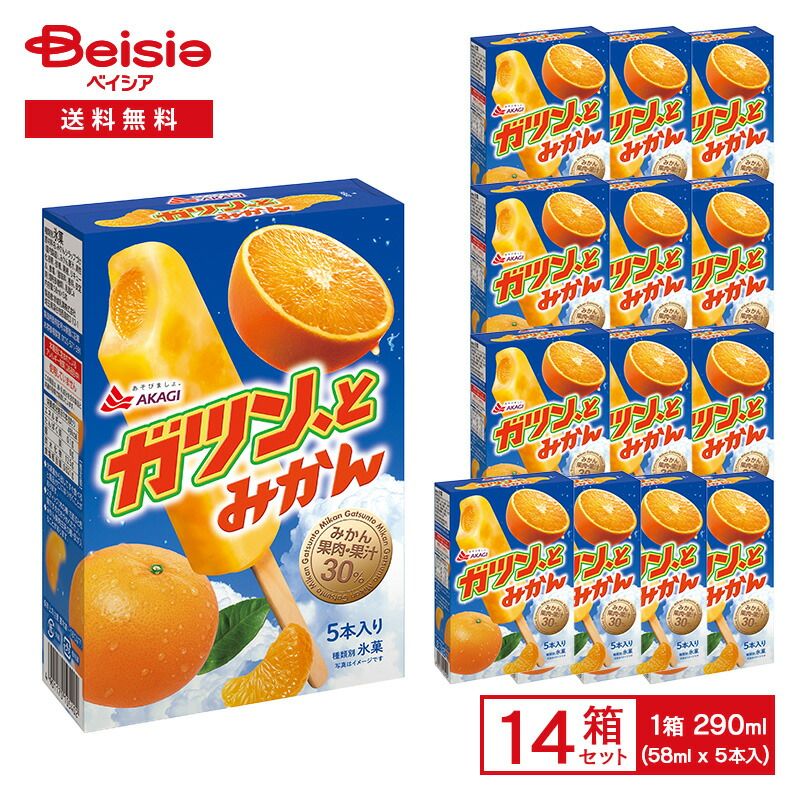 赤城乳業 ガツン、とみかん マルチ 290ml（58ml×5本入）×14箱