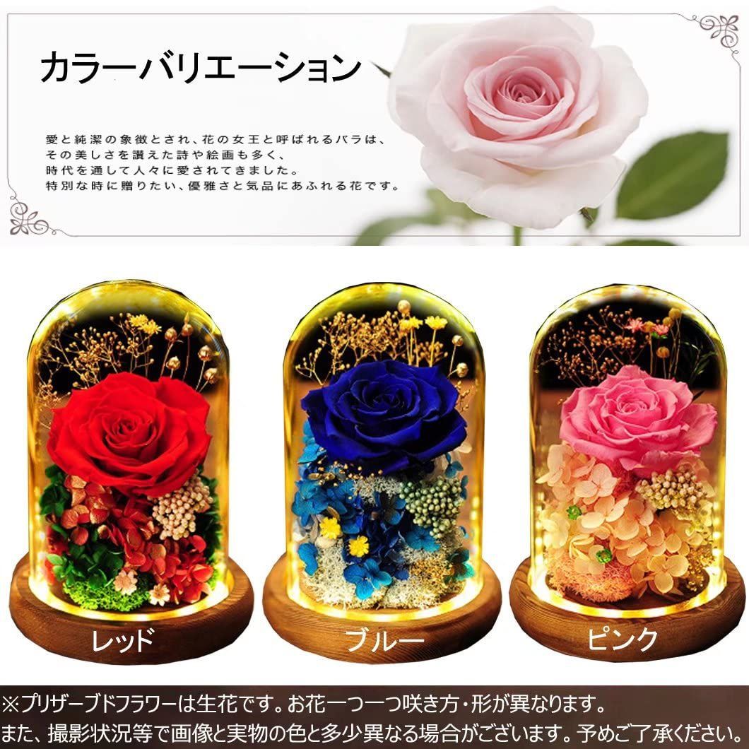 在庫セール】レッドローズ 薔薇 花 メッセージカード ブリザード