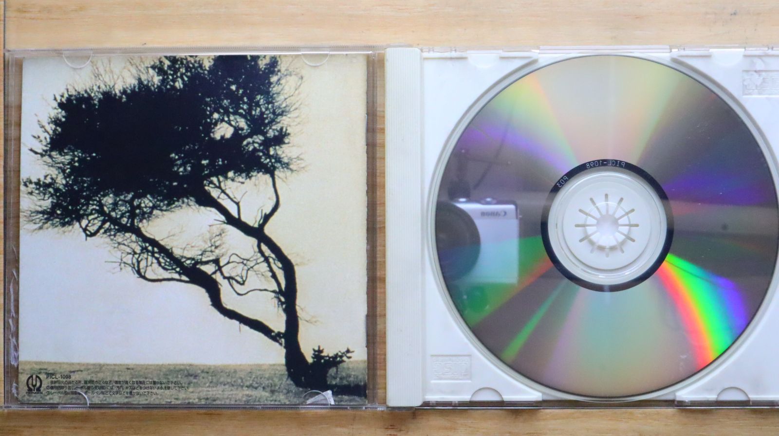 国内盤CD☆カツミ/KATSUMI□ BRIGHT DAYS 【PICL1098/4988102100056