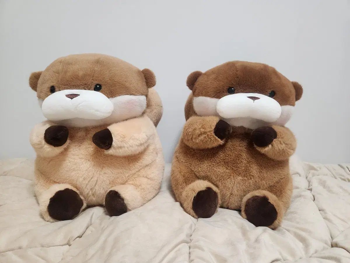 野ばら社 rosily 赤い帽子の犬のぬいぐるみ 野ばら社 rosily 赤い帽子