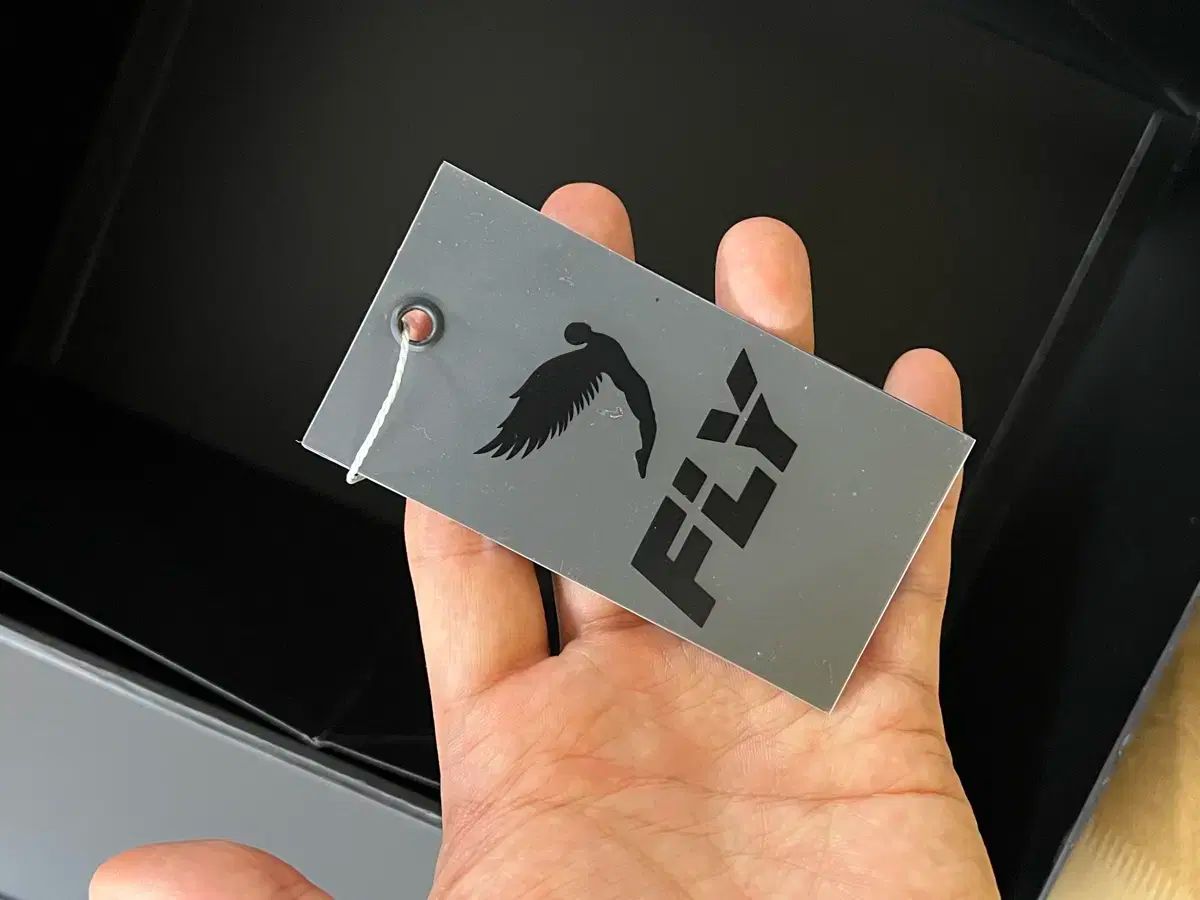 世界J・ウェルター級タイトルマッチ浜田剛史 vs ロニー・シールズ