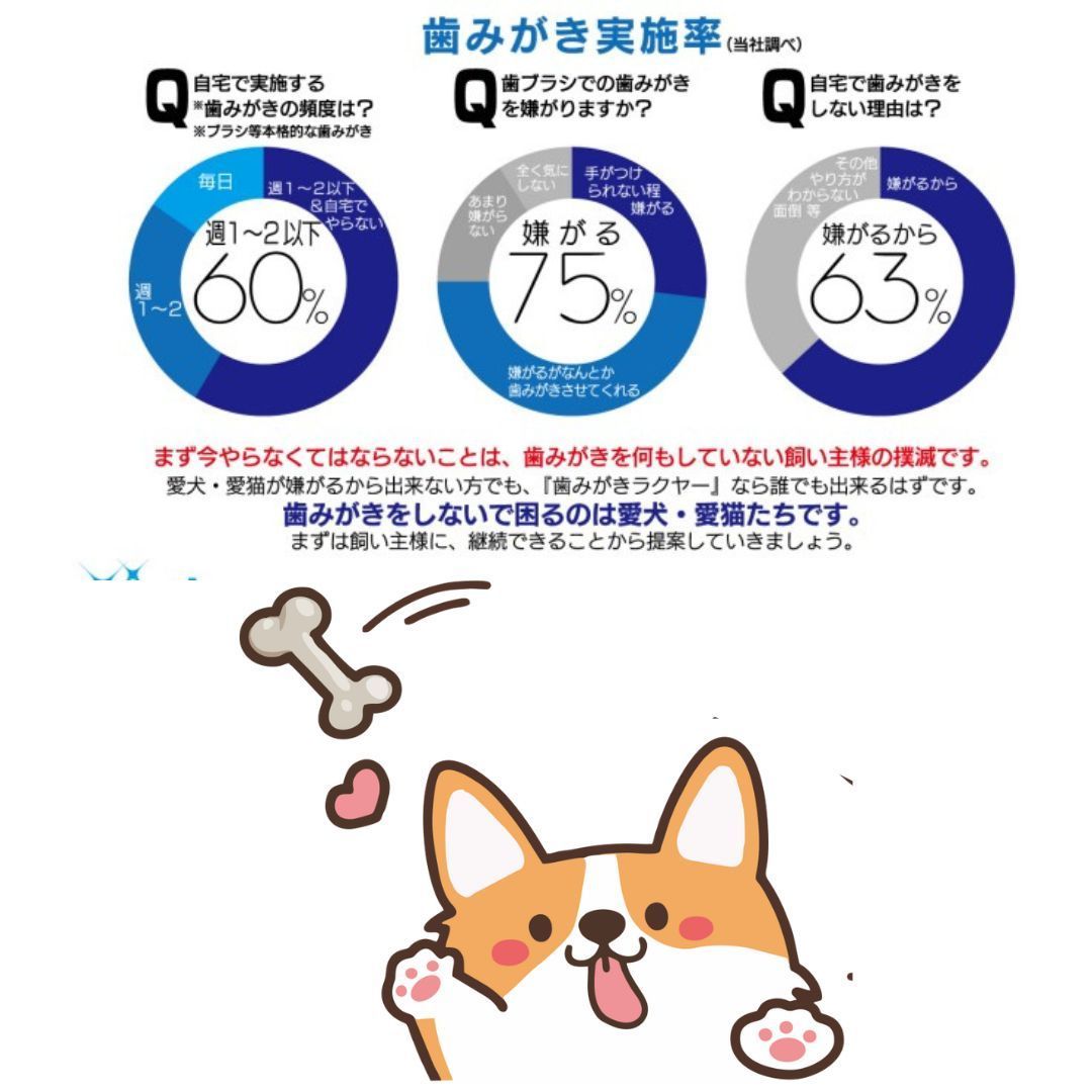 お得な３個セット】トーラス 初めての歯みがきシート３０枚入り 犬用