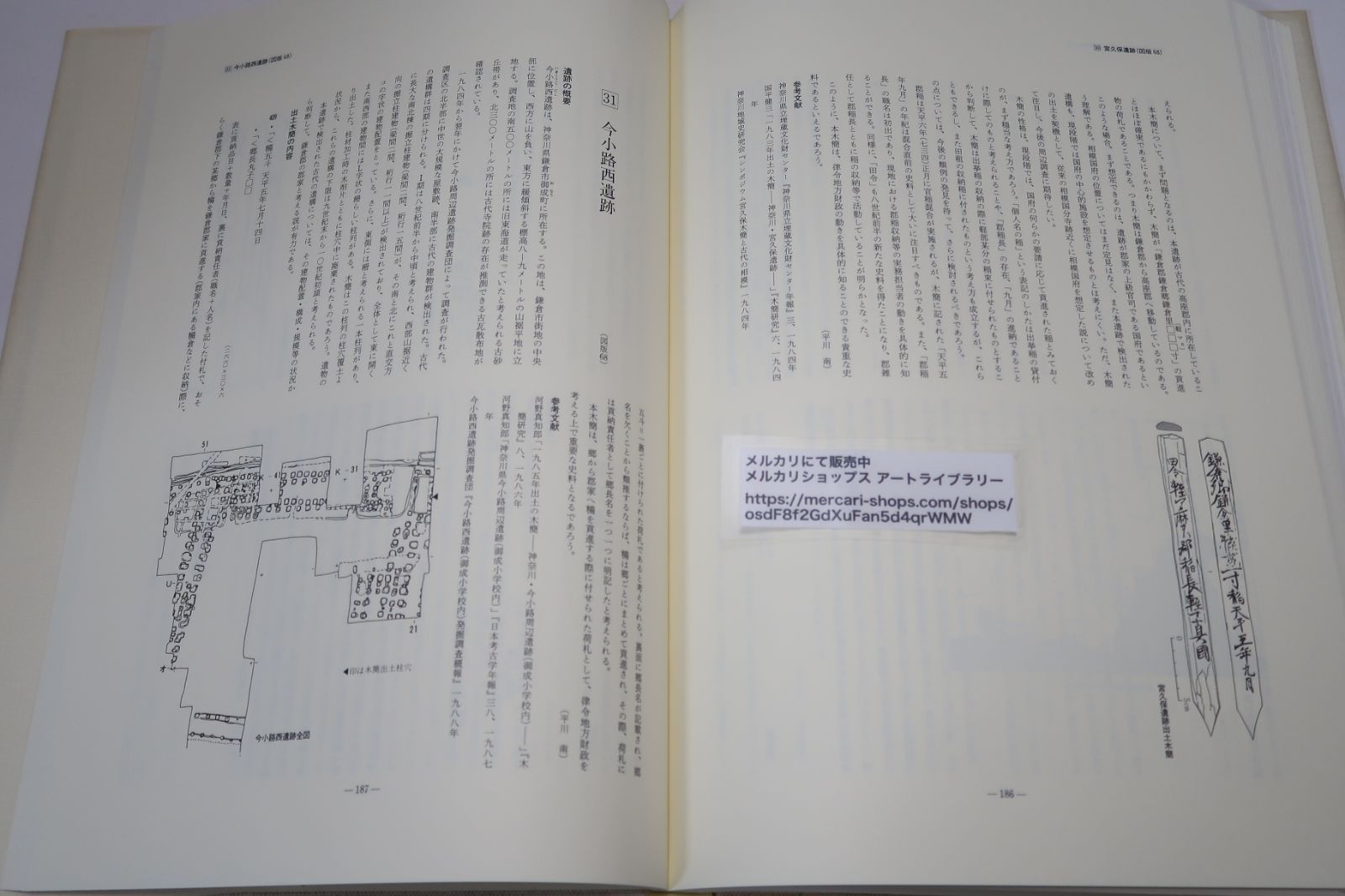 日本古代木簡選/定価16000円/時に雄渾に時に繊細に躍る文字の