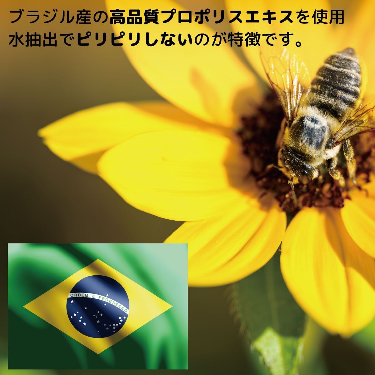 のサムネイル