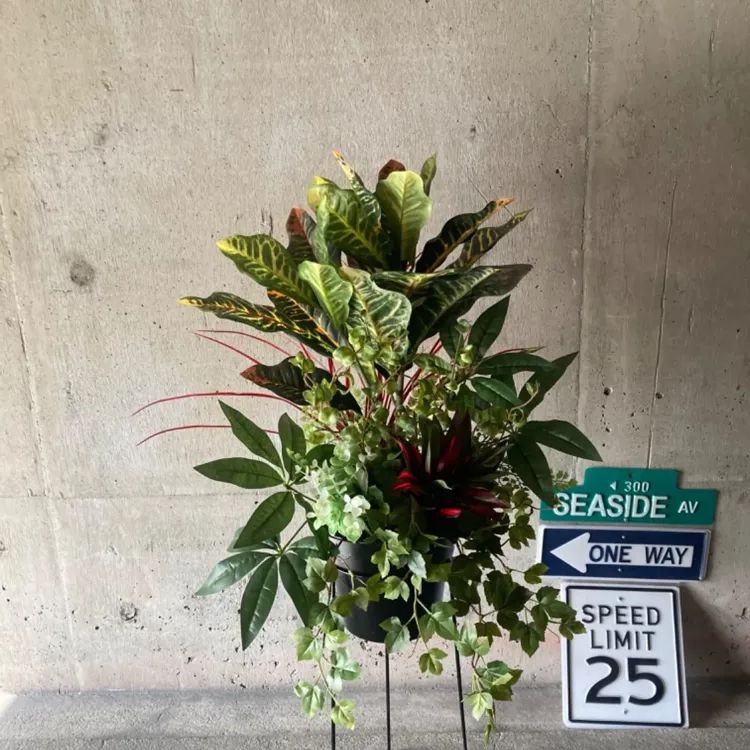 光触媒　人工観葉植物　ウォールグリーン　フェイクグリーン　アジアンショウナンゴム 光触媒 人工観葉植物 ウォールグリーン フェイクグリーン アジアン