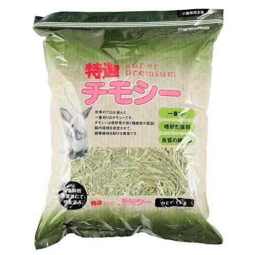 SOYO メイクブラシ10本セット ケース付MIYABI様専用